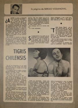 Tigris chilensis