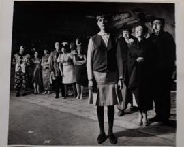 Fotografía Perdón... estamos en guerra