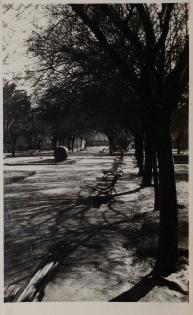 Fotografía plaza
